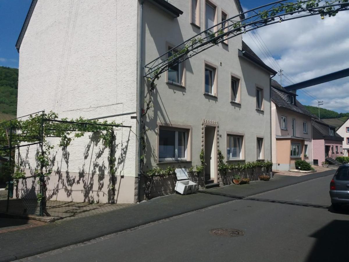 Junglen An Der Mosel * Zeltingen-Rachtig